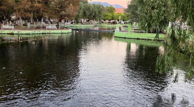 El agua, recurso estratégico; se protegerán 50 manantiales: Méndez