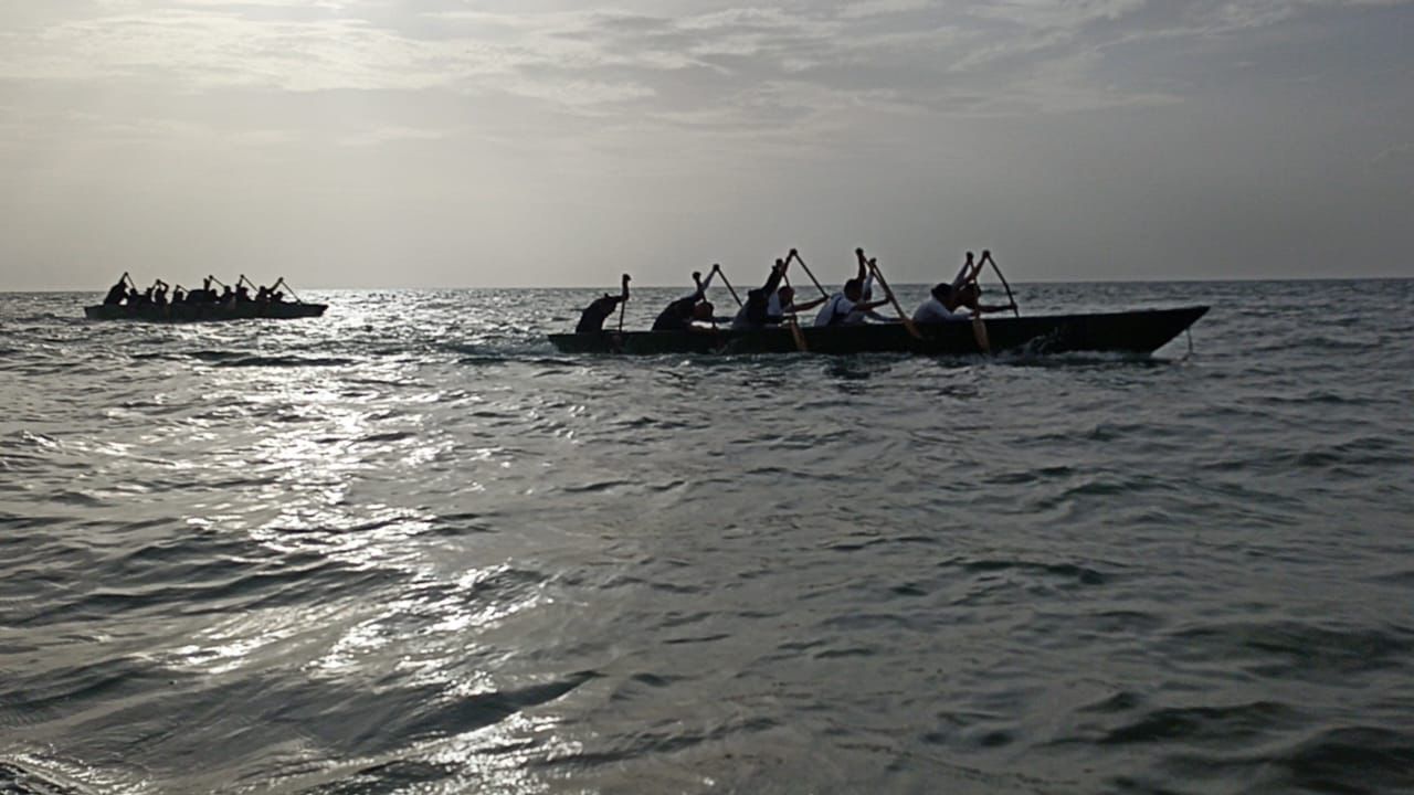 Exitosa regata a Remo en Canoas Mayas por 30 Aniversario de Solidaridad – H. Ayuntamiento de Solidaridad
