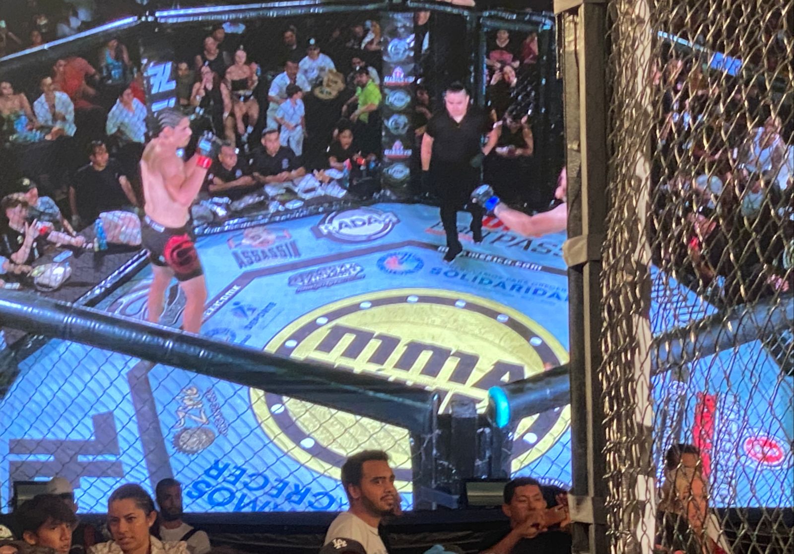 Espectacular función de MMA México en Playa del Carmen – H. Ayuntamiento de Solidaridad