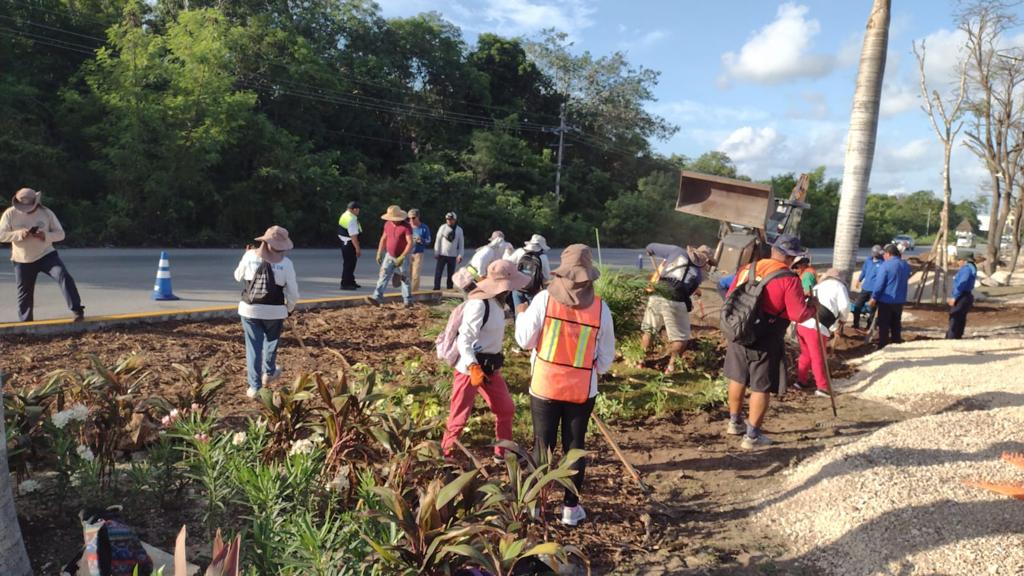 Gobierno municipal reforesta camellón de la carretera federal – H. Ayuntamiento de Solidaridad