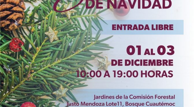 ¿Dónde comprar tu árbol de Navidad natural? Cofom anuncia su tradicional bazar