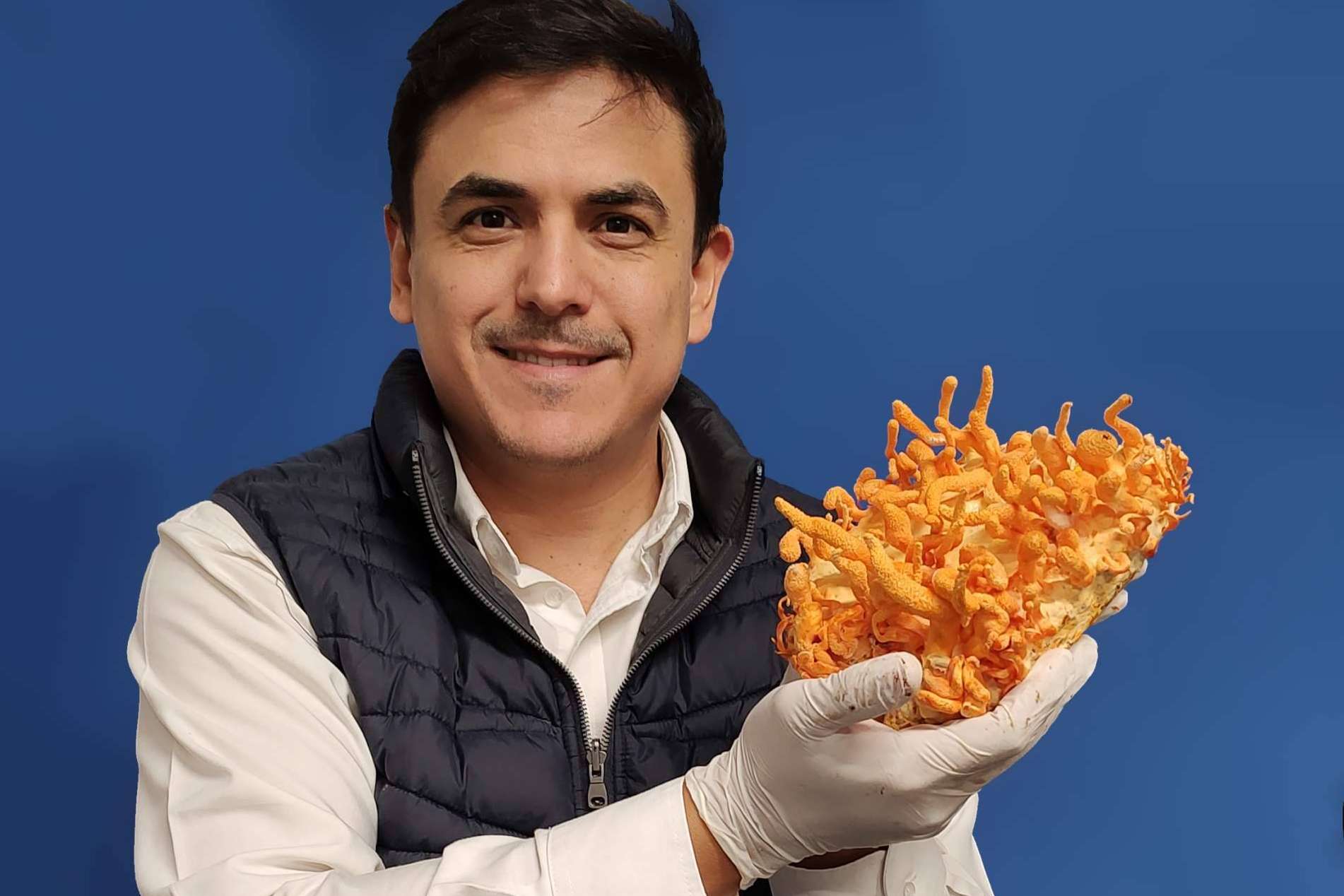 'Entre Hongos', el podcast del Dr. Efrén Robledo que posiciona a la micología mexicana en el centro de la divulgación